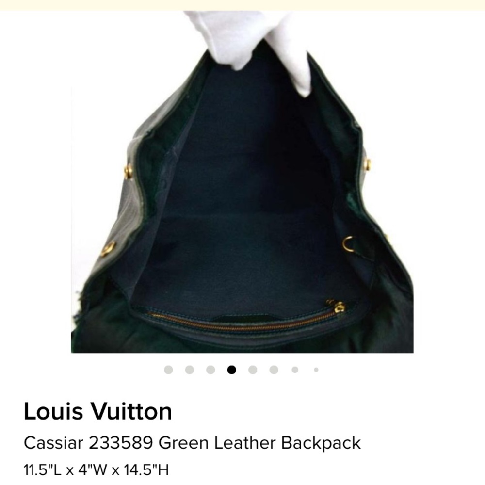 Louis Vuitton Cassiar 233589 Leather Backpack - Picture 5 of 14